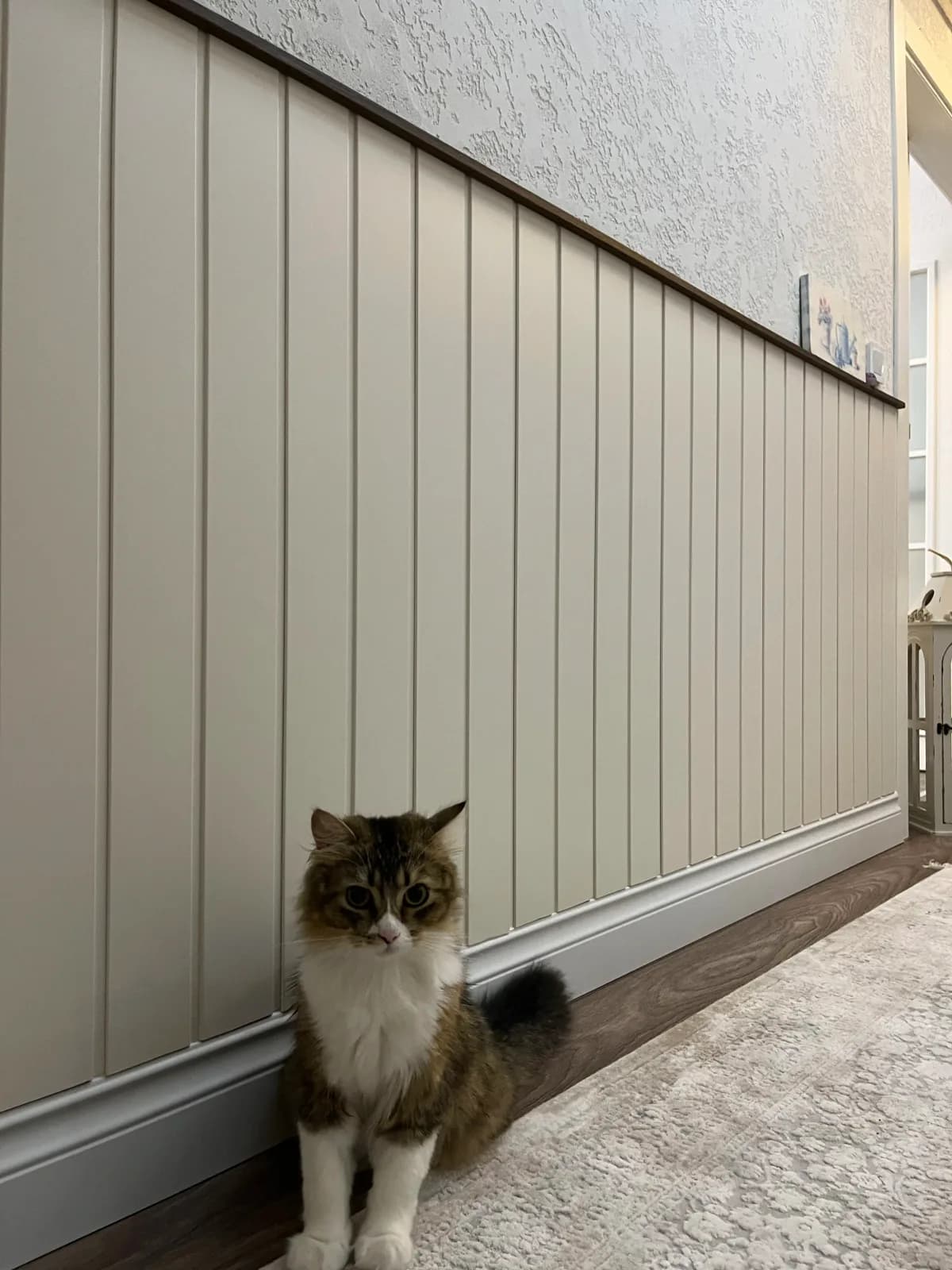 Gri lambri yarım duvar, koridor